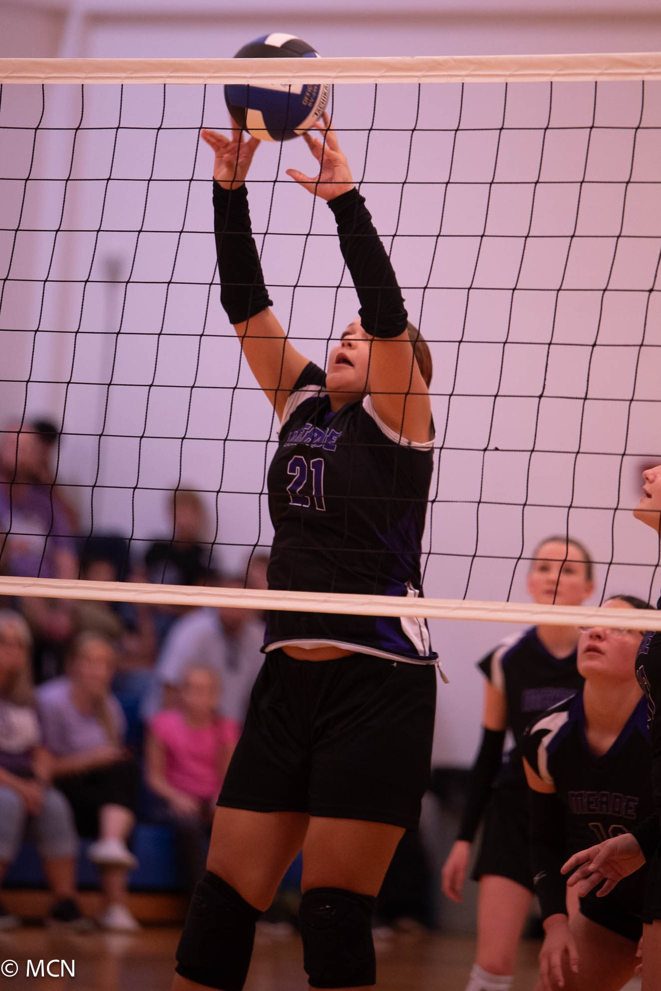 DSC_7106